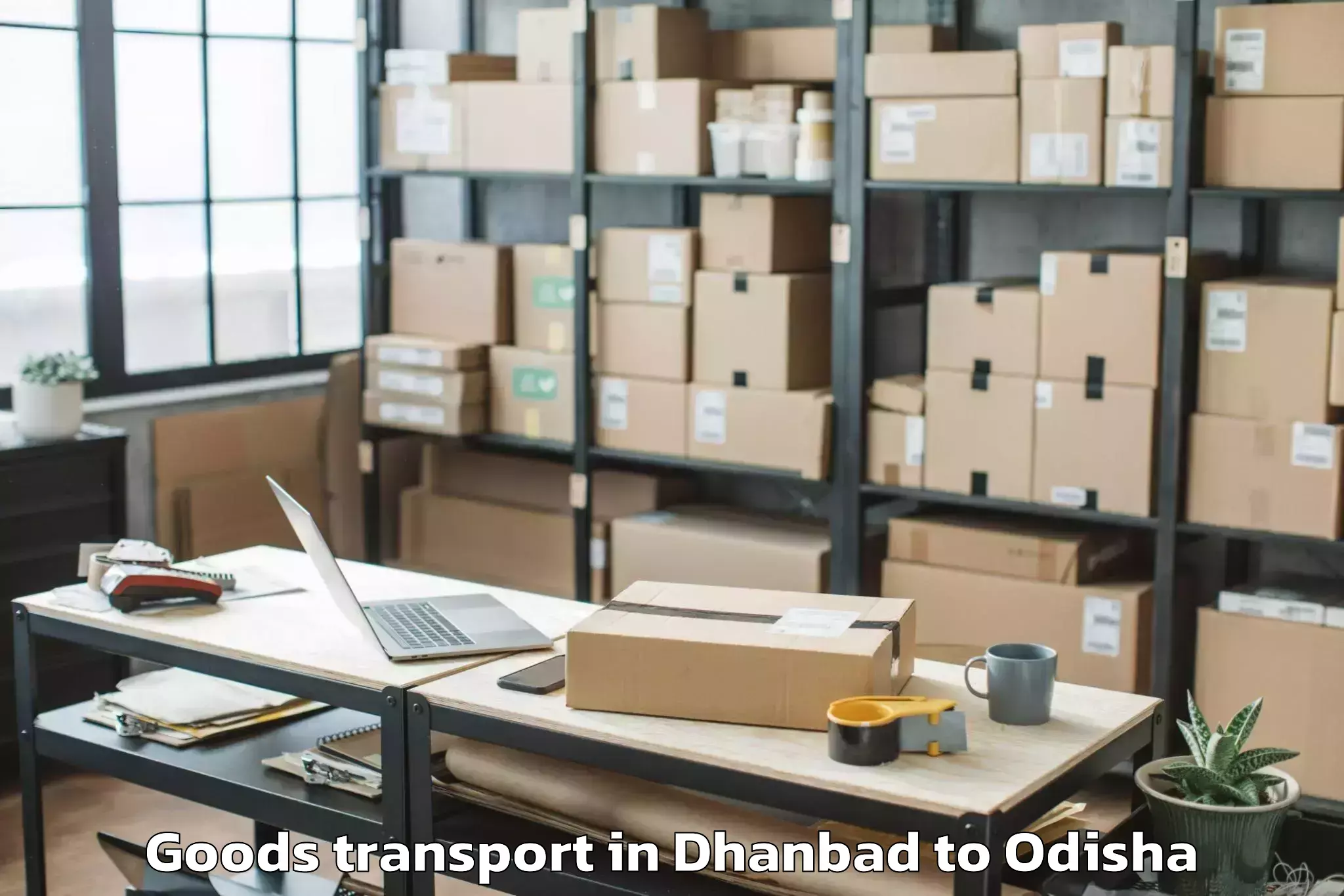 Book Dhanbad to Niali Goods Transport Online